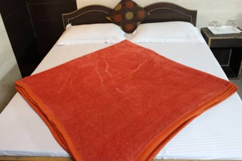 Hotel Haridwar Residency, Haridwar 3